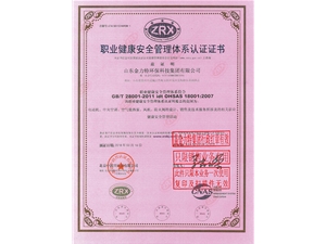 職業(yè)健康安全管理體系認證證書