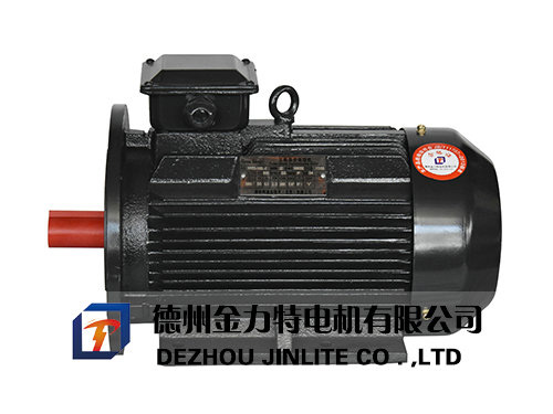 YE3系列超高效節(jié)能三相異步電動機(jī)